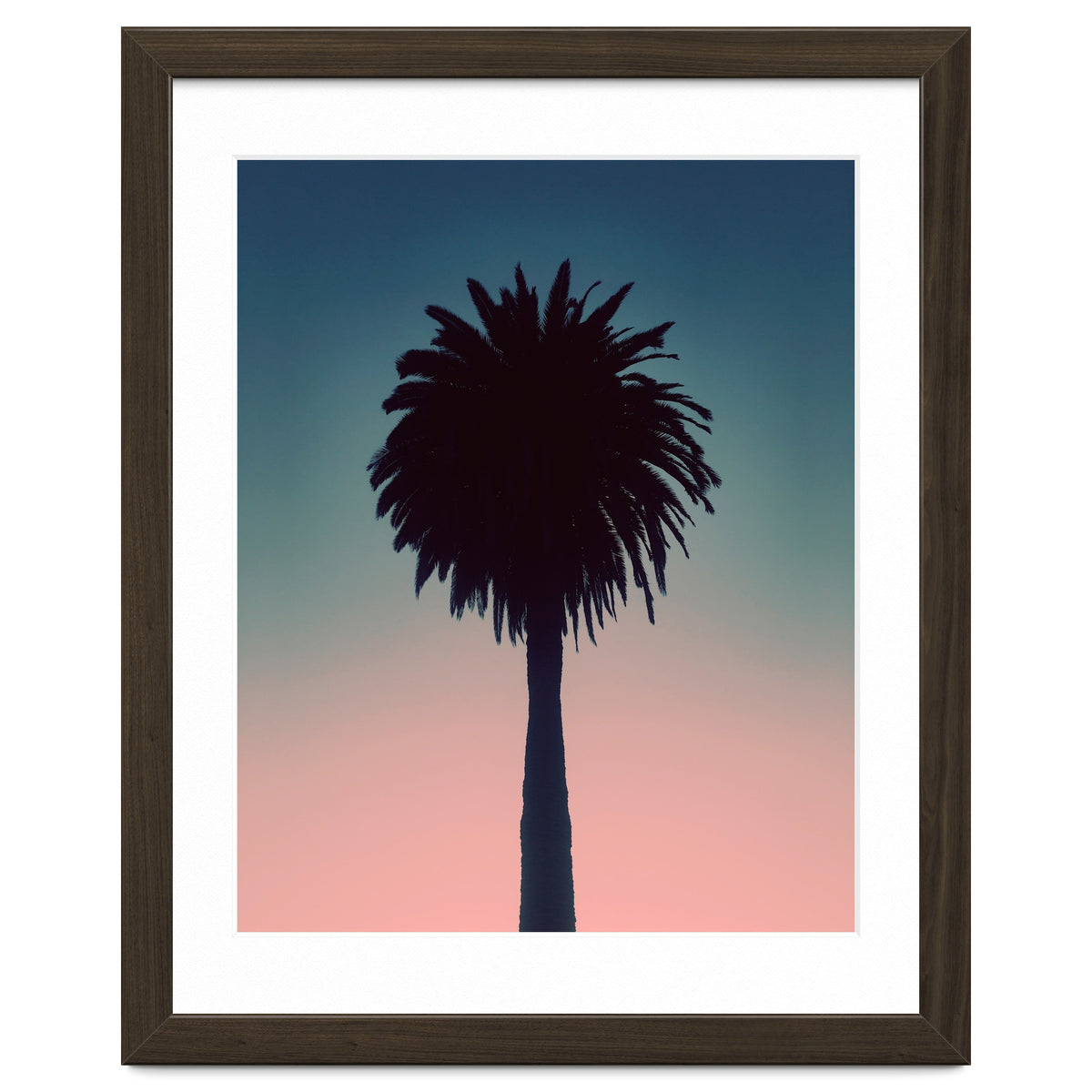 Sundown Palm