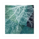 P19-E3 Trees and Triangles (Print Only) thumbnail
