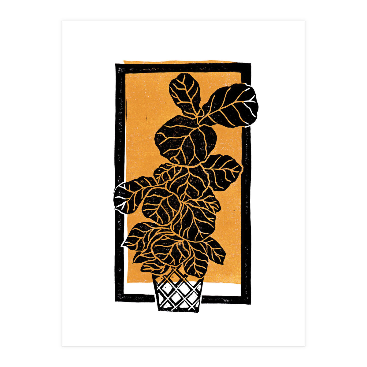 Fiddle Leaf Fig Clean + Sunlight (Print Only)