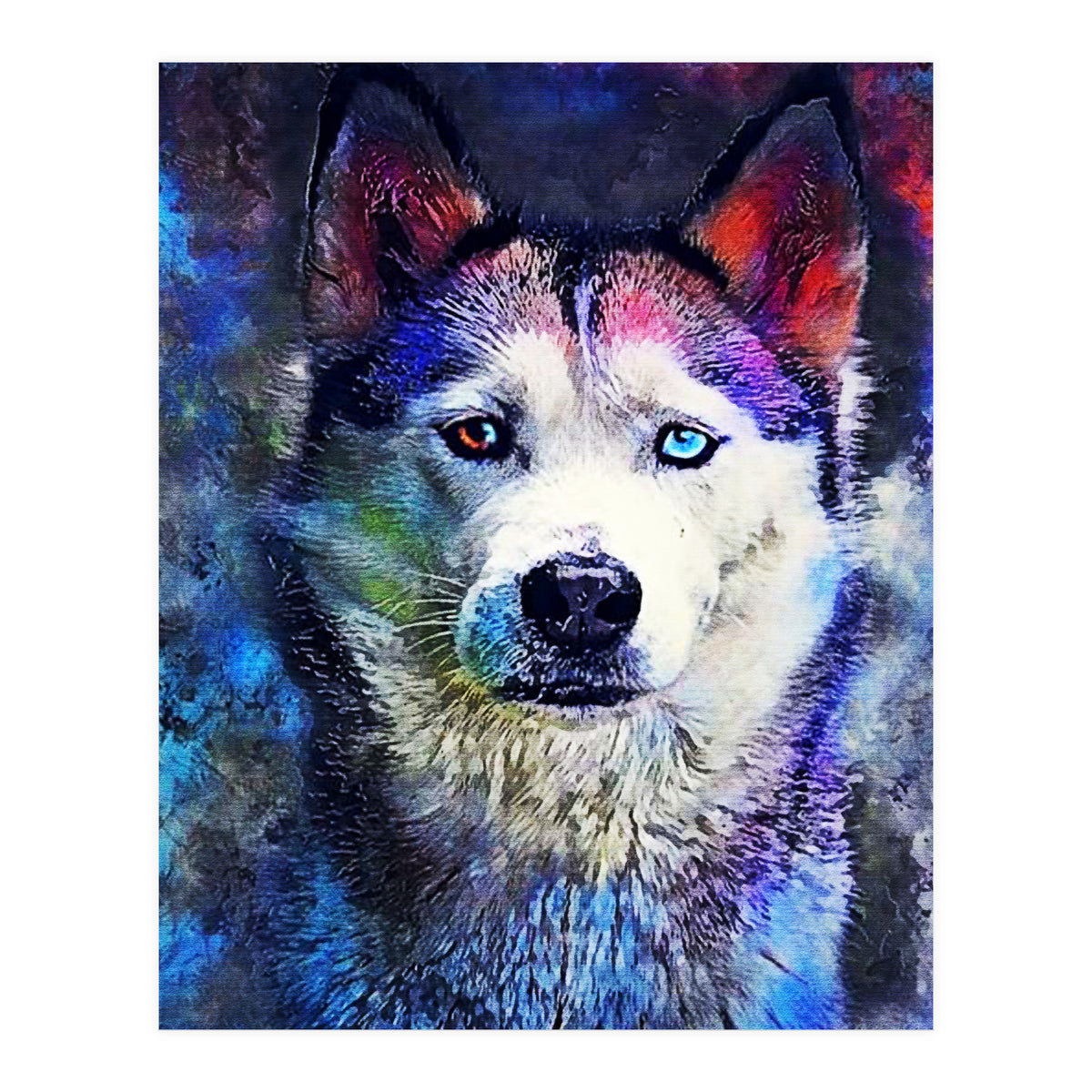 Dog Husky (Print Only)