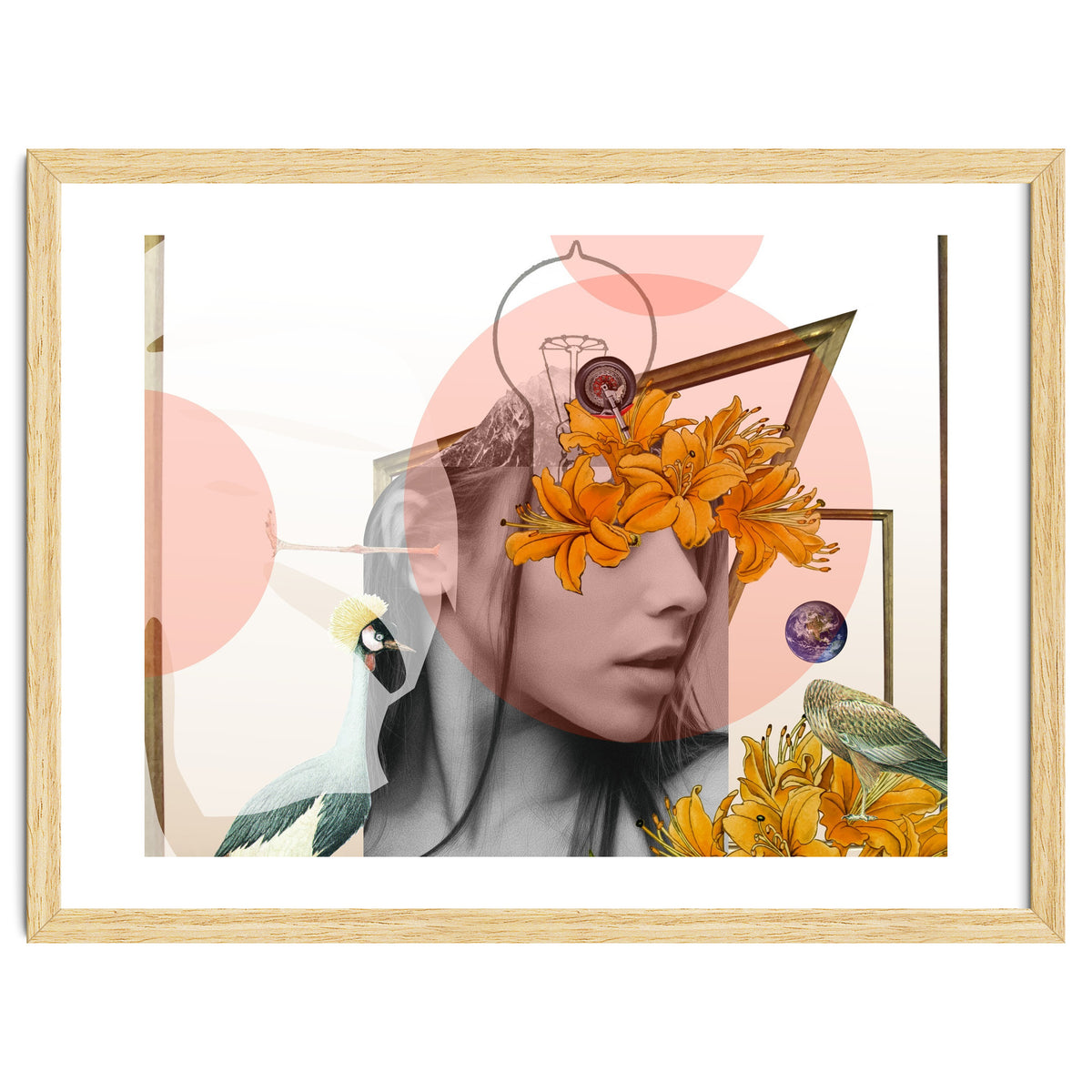 Dreamland Division · D