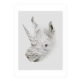 Rhinoplasty (Print Only) thumbnail