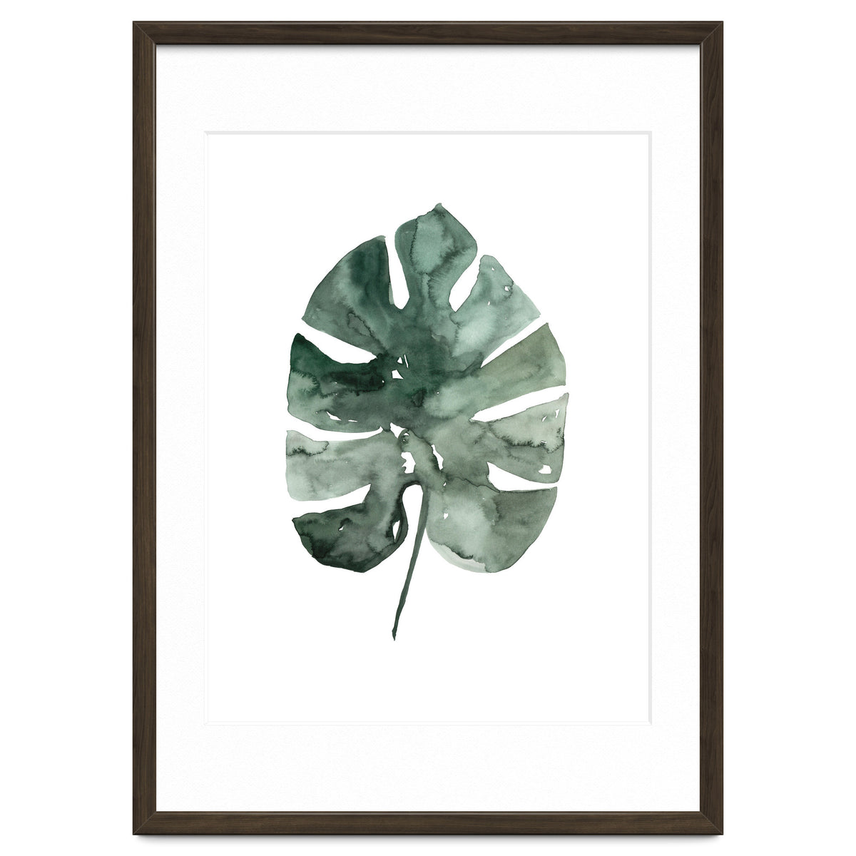 Botanical Illustration Monstera Leaf