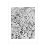 The Essence Of Spring in Monochrome (Print Only) thumbnail