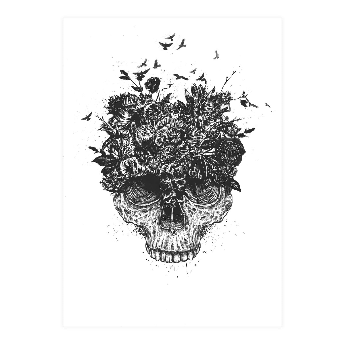 My Head Is A Jungle Bw (Print Only)