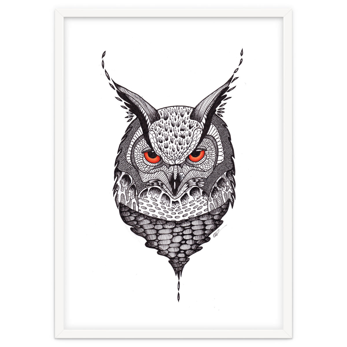 Owl