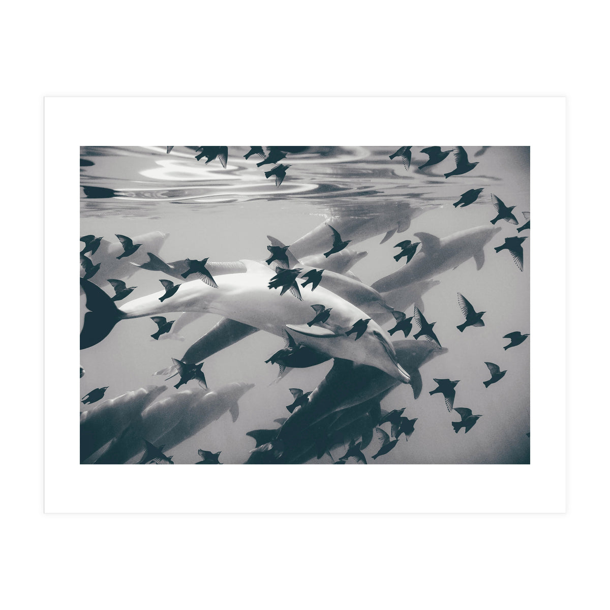 Found Out (Print Only)