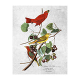 uccelli (Print Only) thumbnail