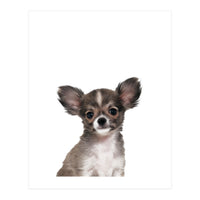 Chihuahua (Print Only)