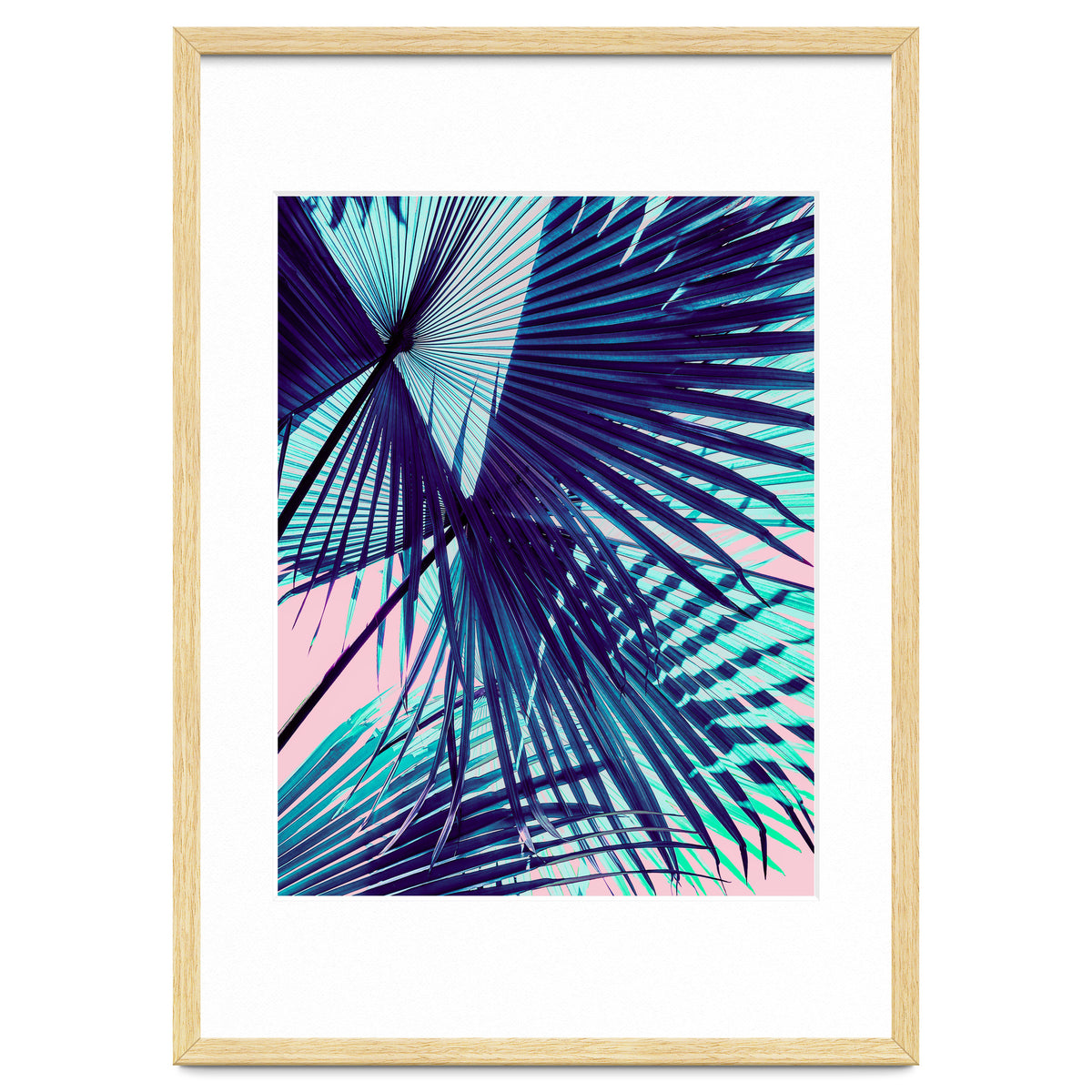 Palm leaf on the beach