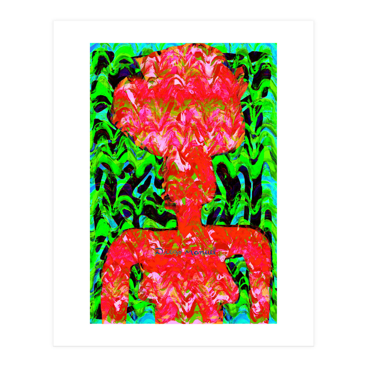 Perfil 20 (Print Only)