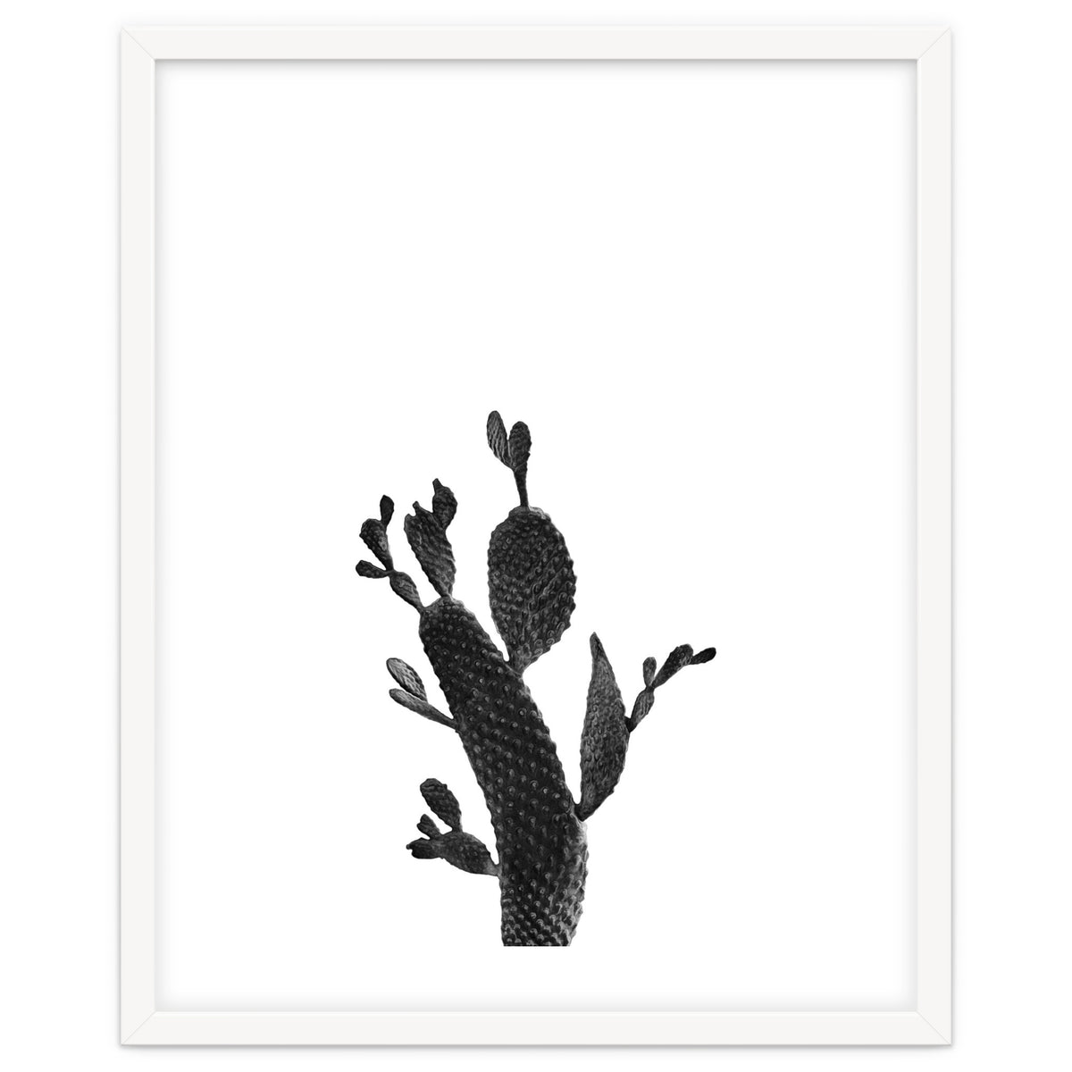 Cactus Black And White 02