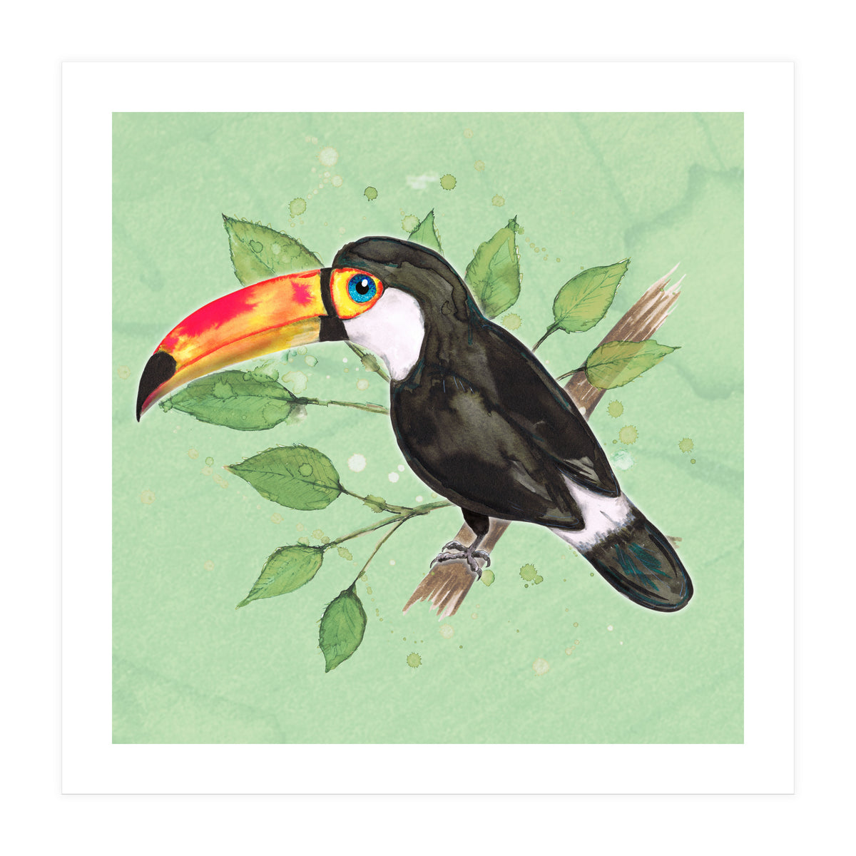 Toco toucan (Print Only)