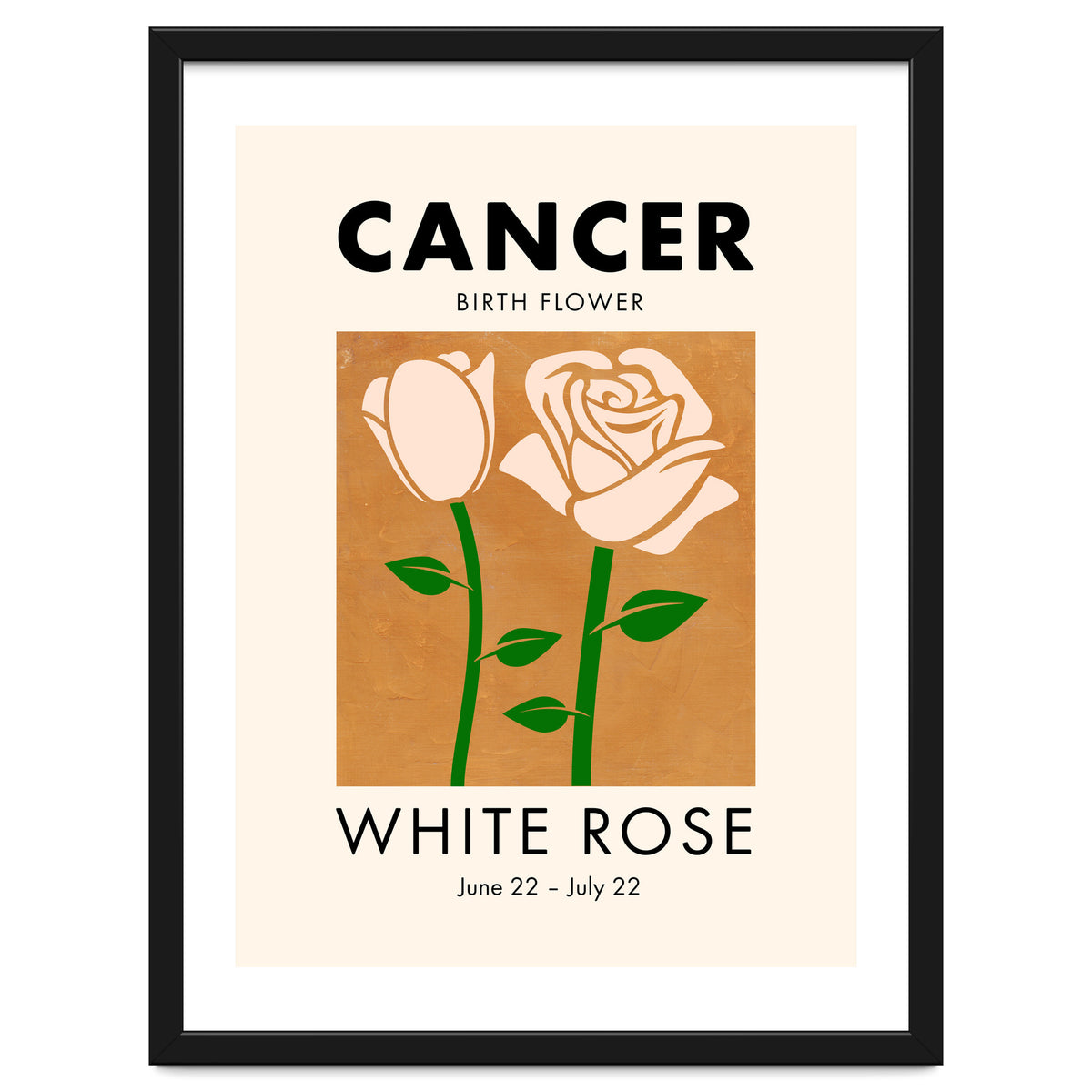 Cancer Birth Flower White Rose