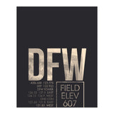Dallas/Fort Worth Atc (Print Only) thumbnail