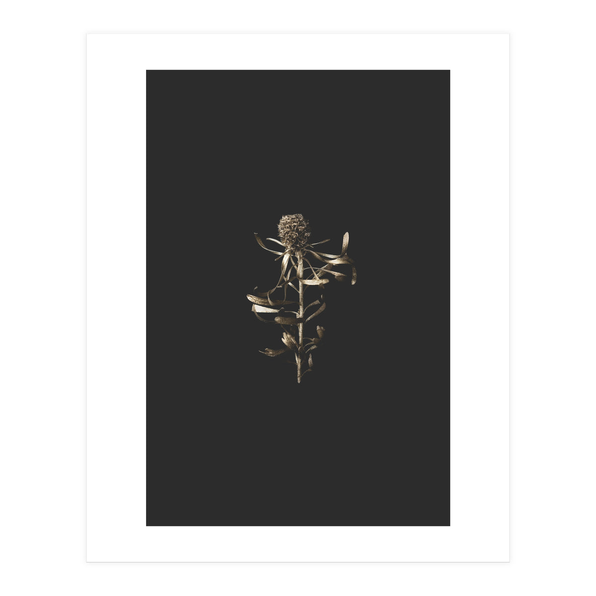 Golden Botanicals (Print Only)