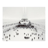 Oculus (Print Only) thumbnail