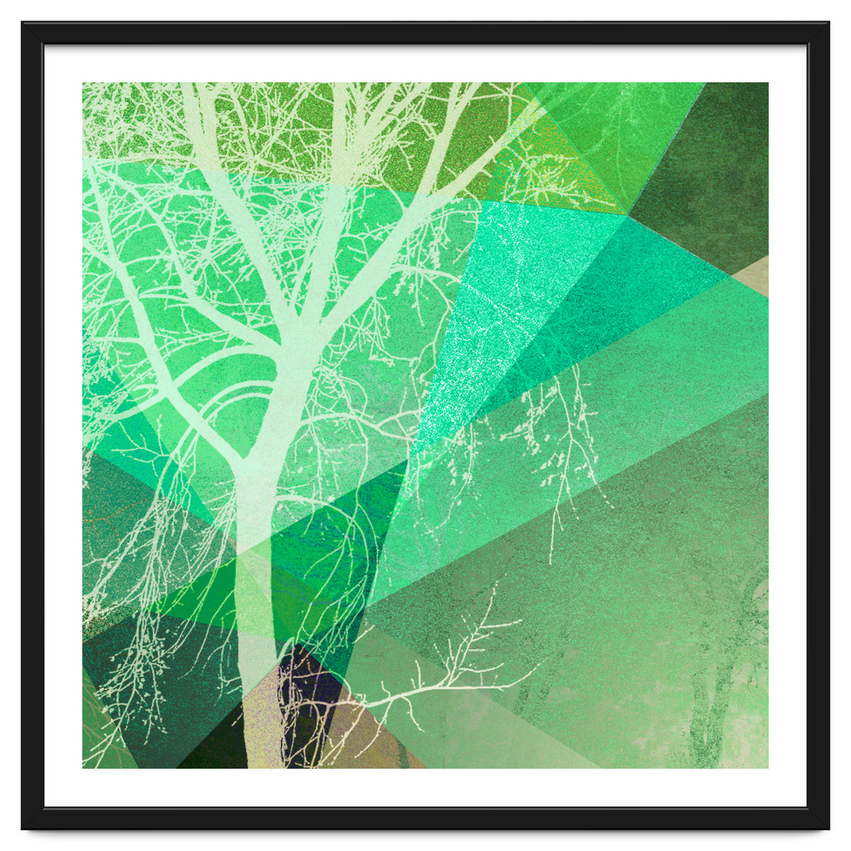 P22-B3 Trees And Triangles