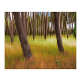 Amongst The Trees (Print Only) thumbnail
