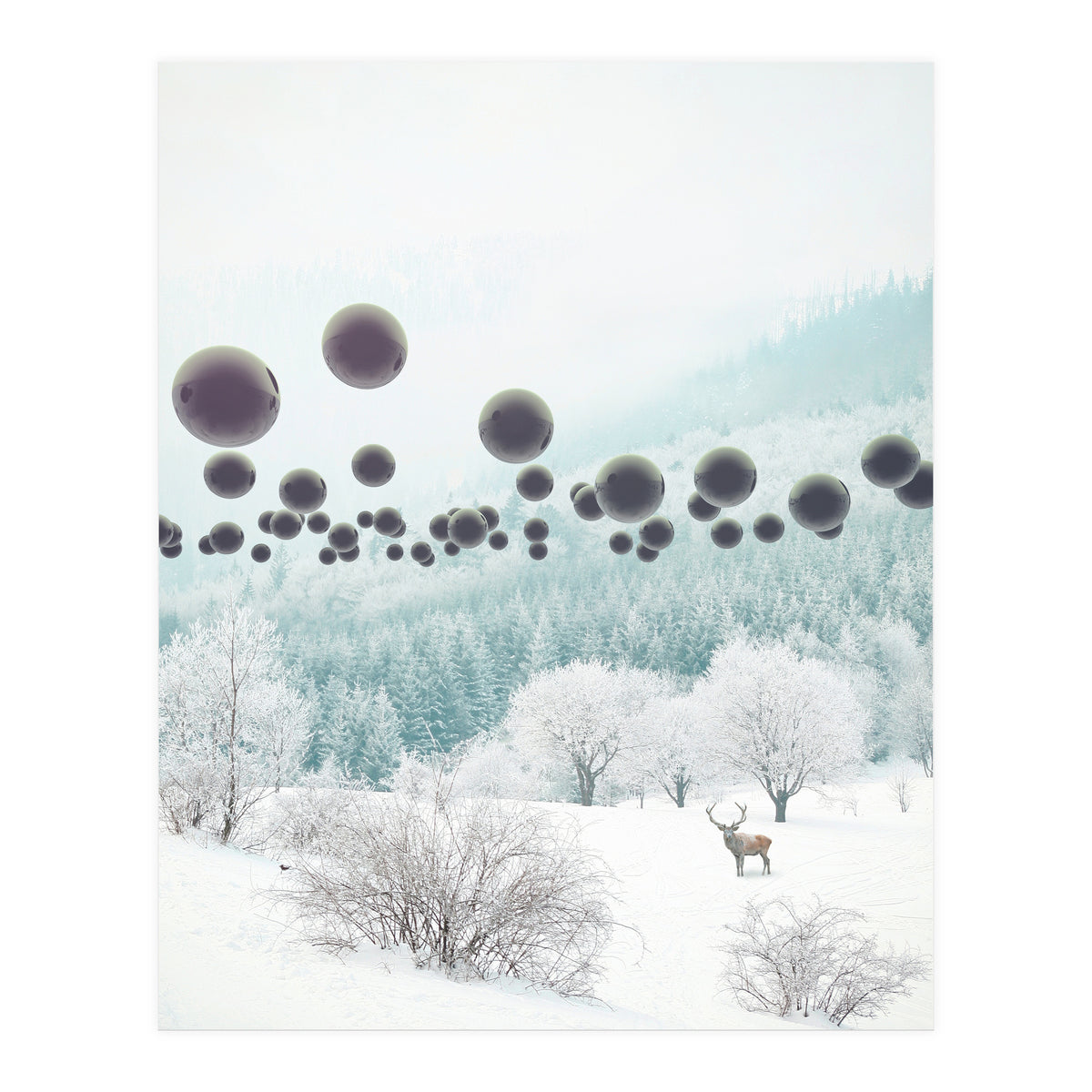 Forest Phantom (Print Only)