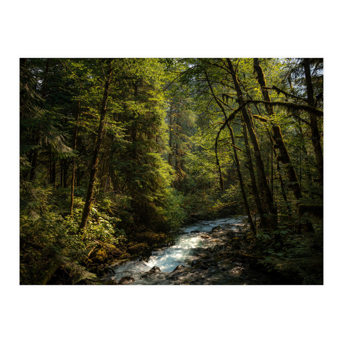Cascade River (Print Only)