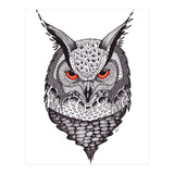 Owl (Print Only) thumbnail