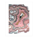 25 (Print Only) thumbnail