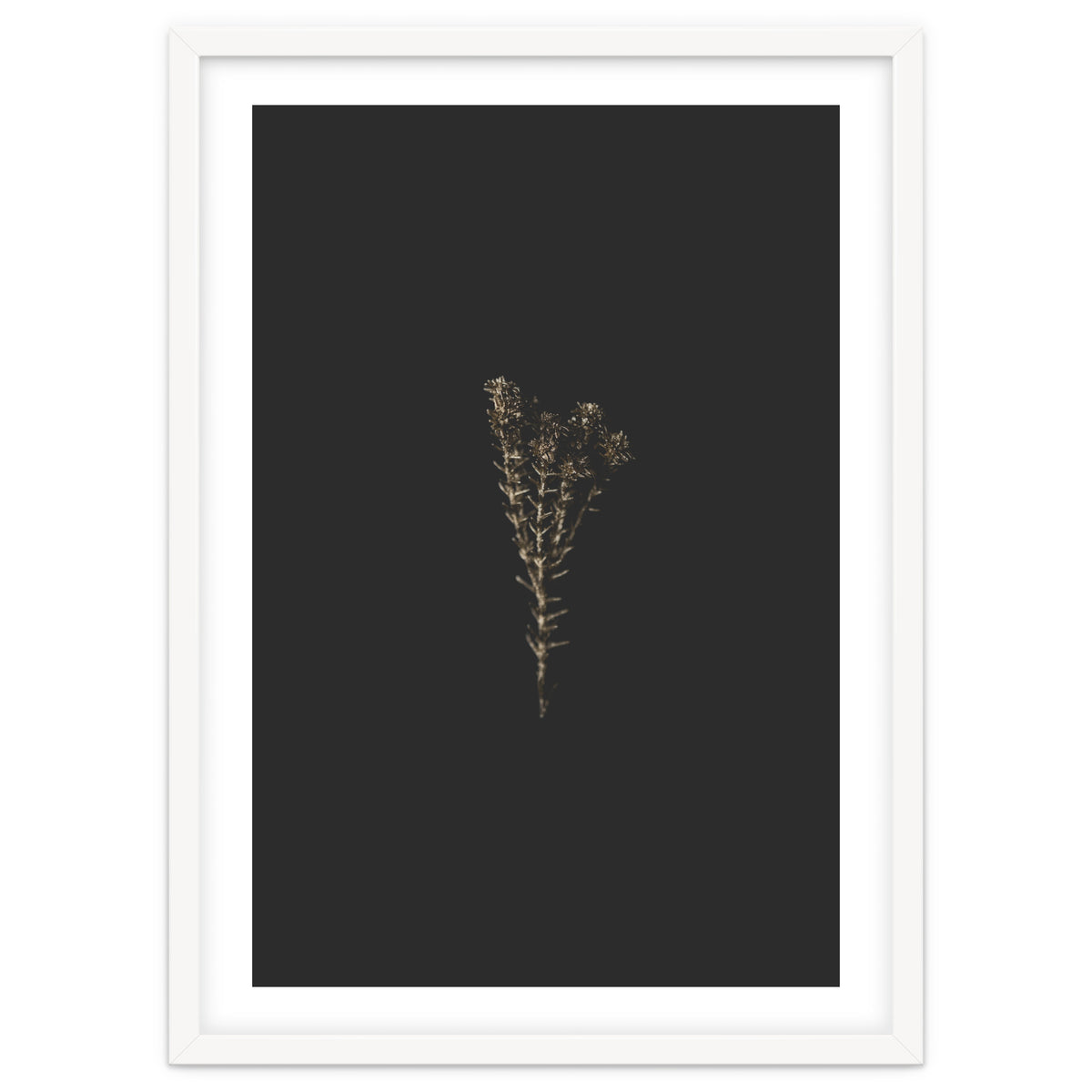 Moody Golden Botanicals