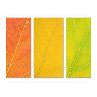 Autumn Leaves (Print Only)