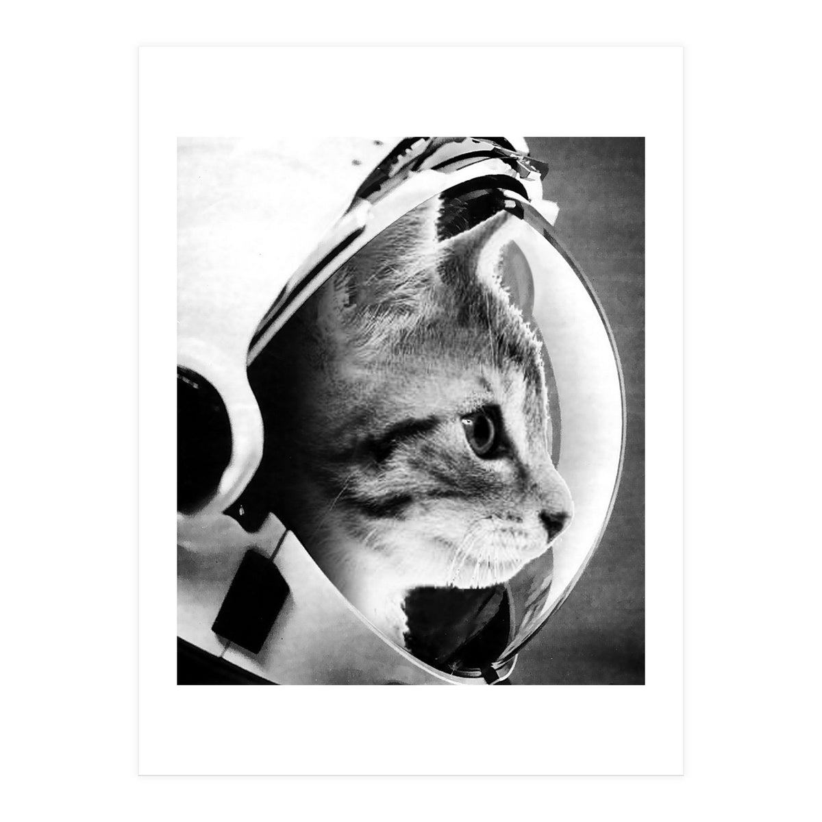 Astrocat (Print Only)