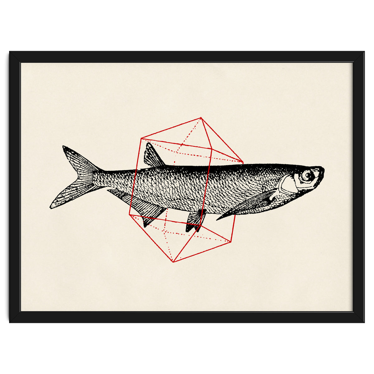 Fish In Geometrics II