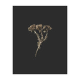 Gold Burst Botanicals - Square (Print Only) thumbnail