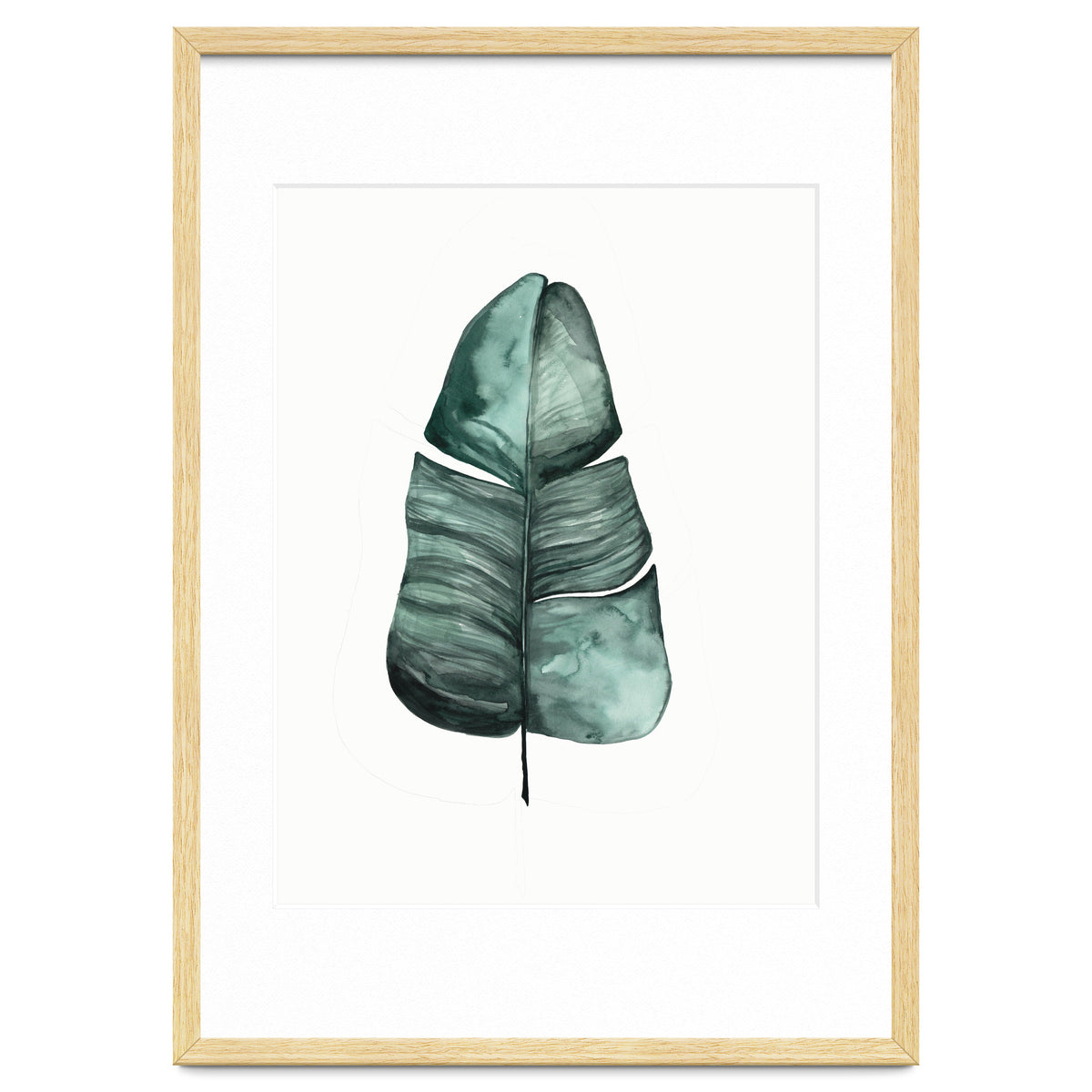 Botanical Illustration Banana Leaf