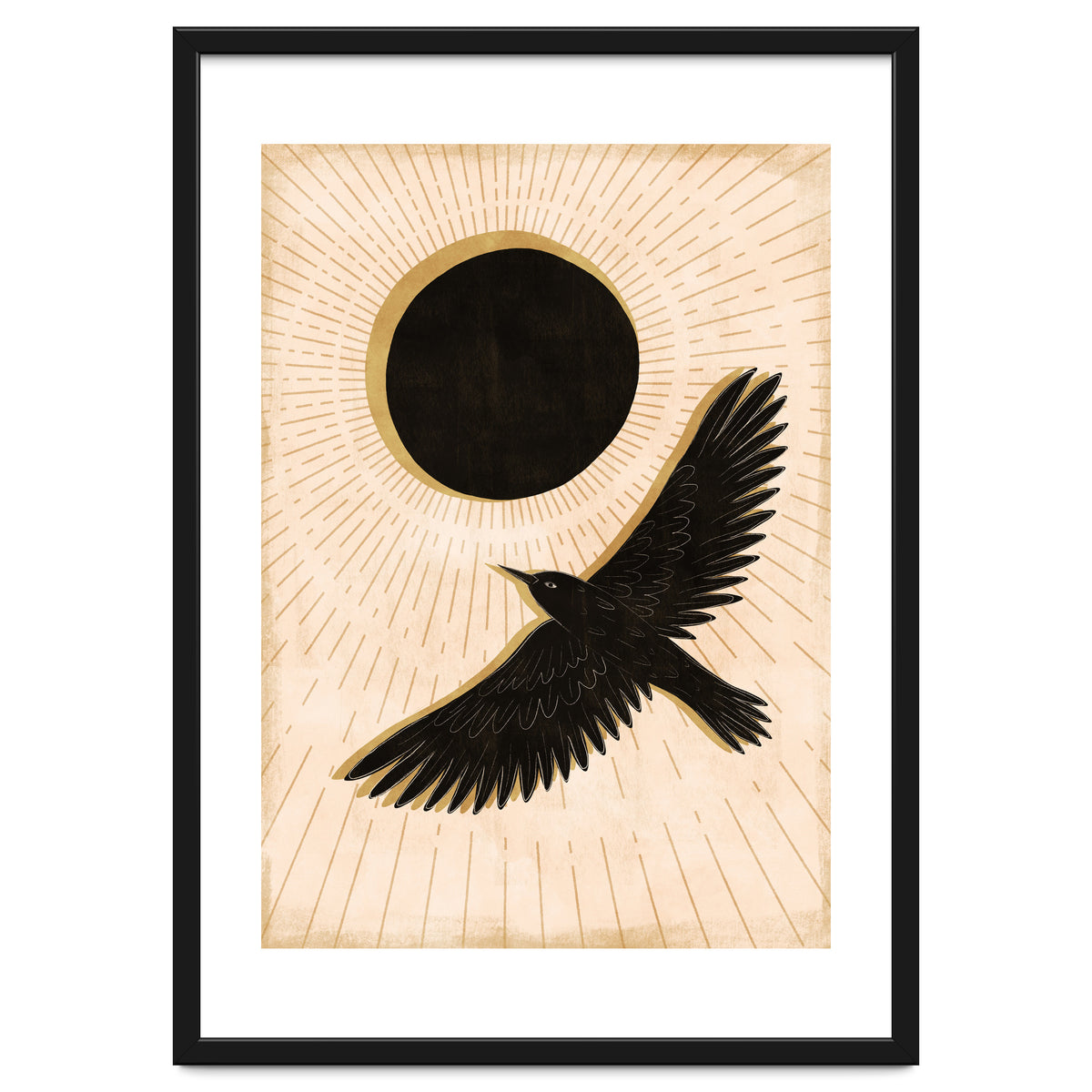 Raven And A Black Sun