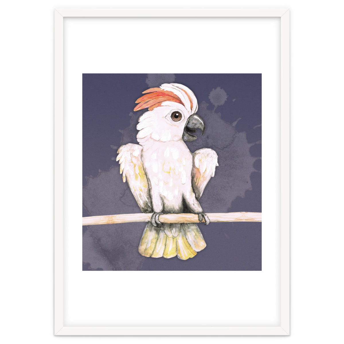 Salmon-crested cockatoo