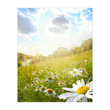 Nature (Print Only) thumbnail