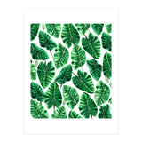 Taro (Print Only) thumbnail