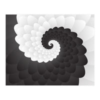 Mono Chrome Spiral Pattern  (Print Only)