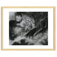 Black and White Forest in Clouds