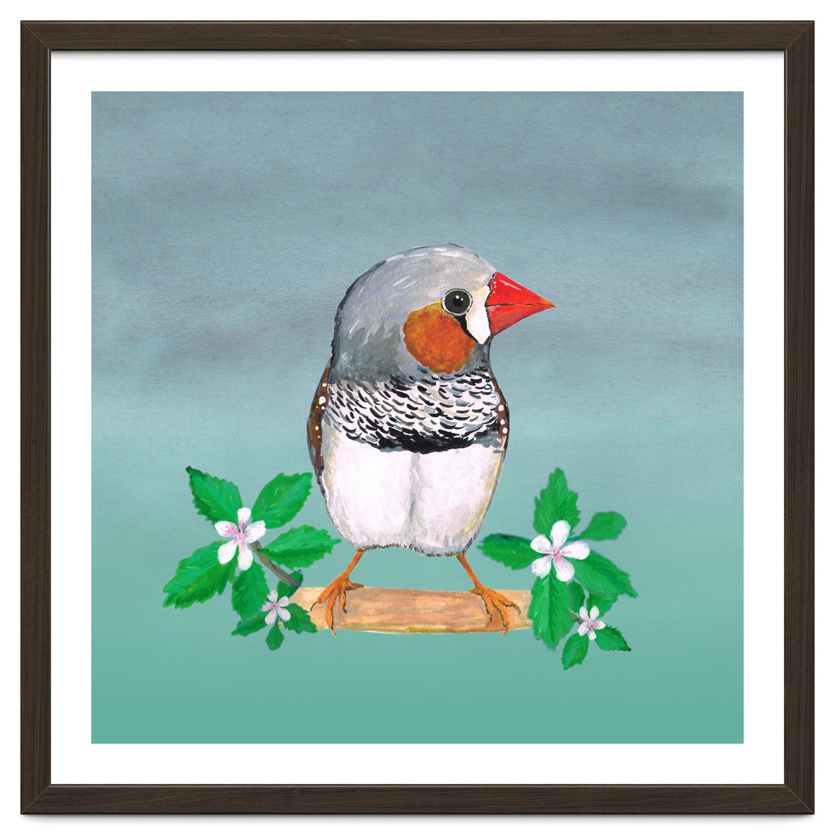 Zebra finch