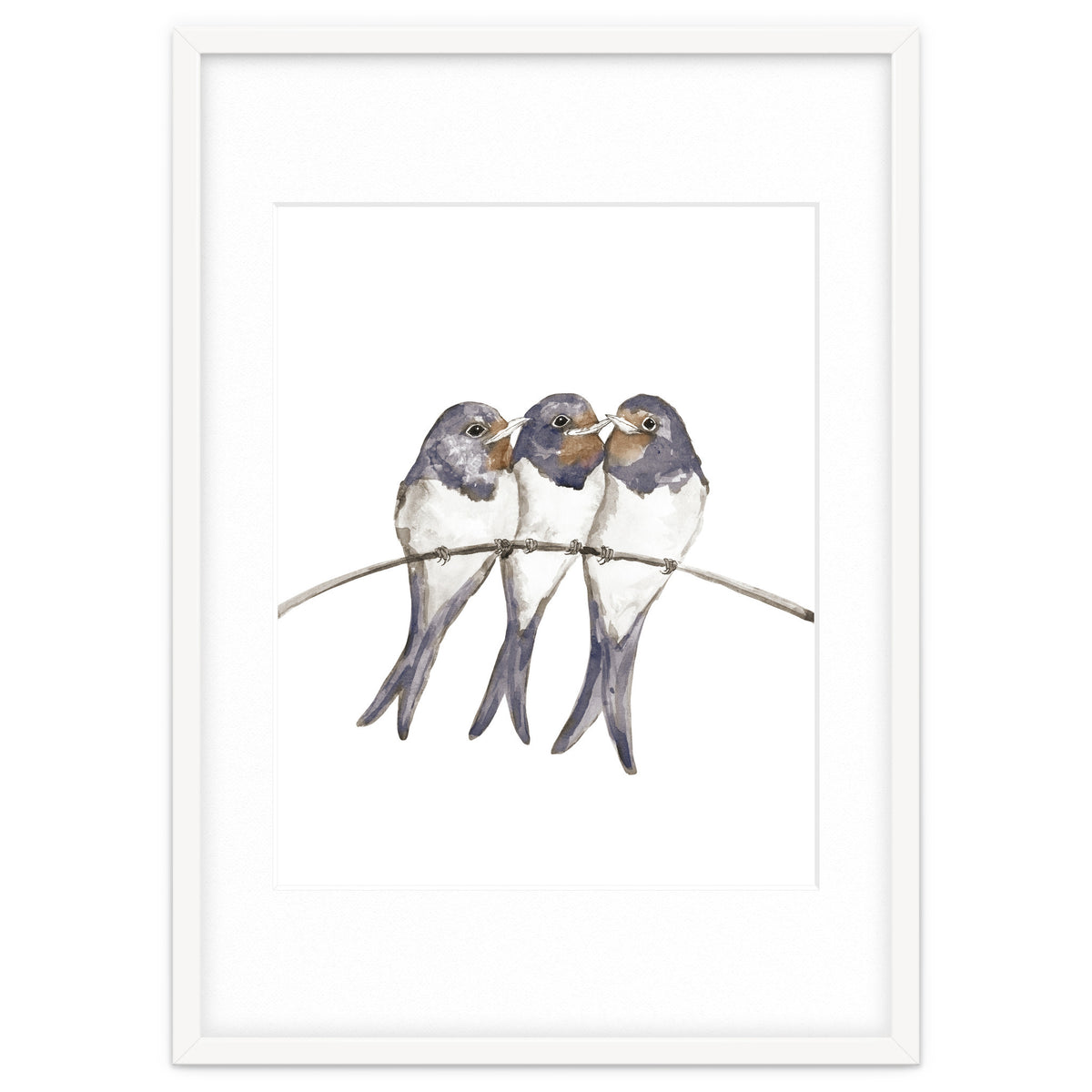 Three young swallows