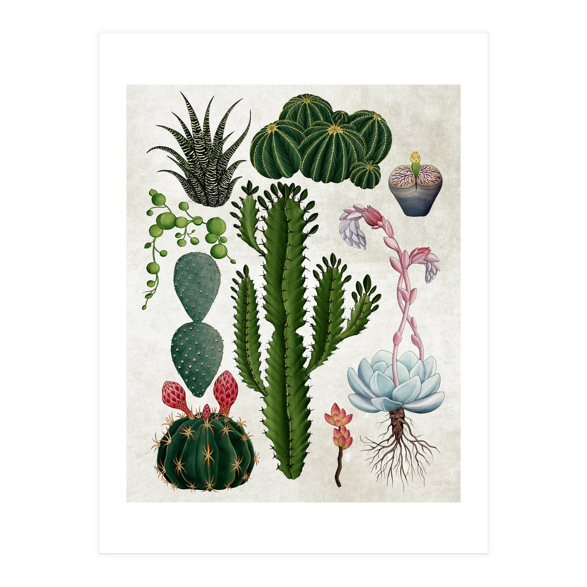 botanical (Print Only)