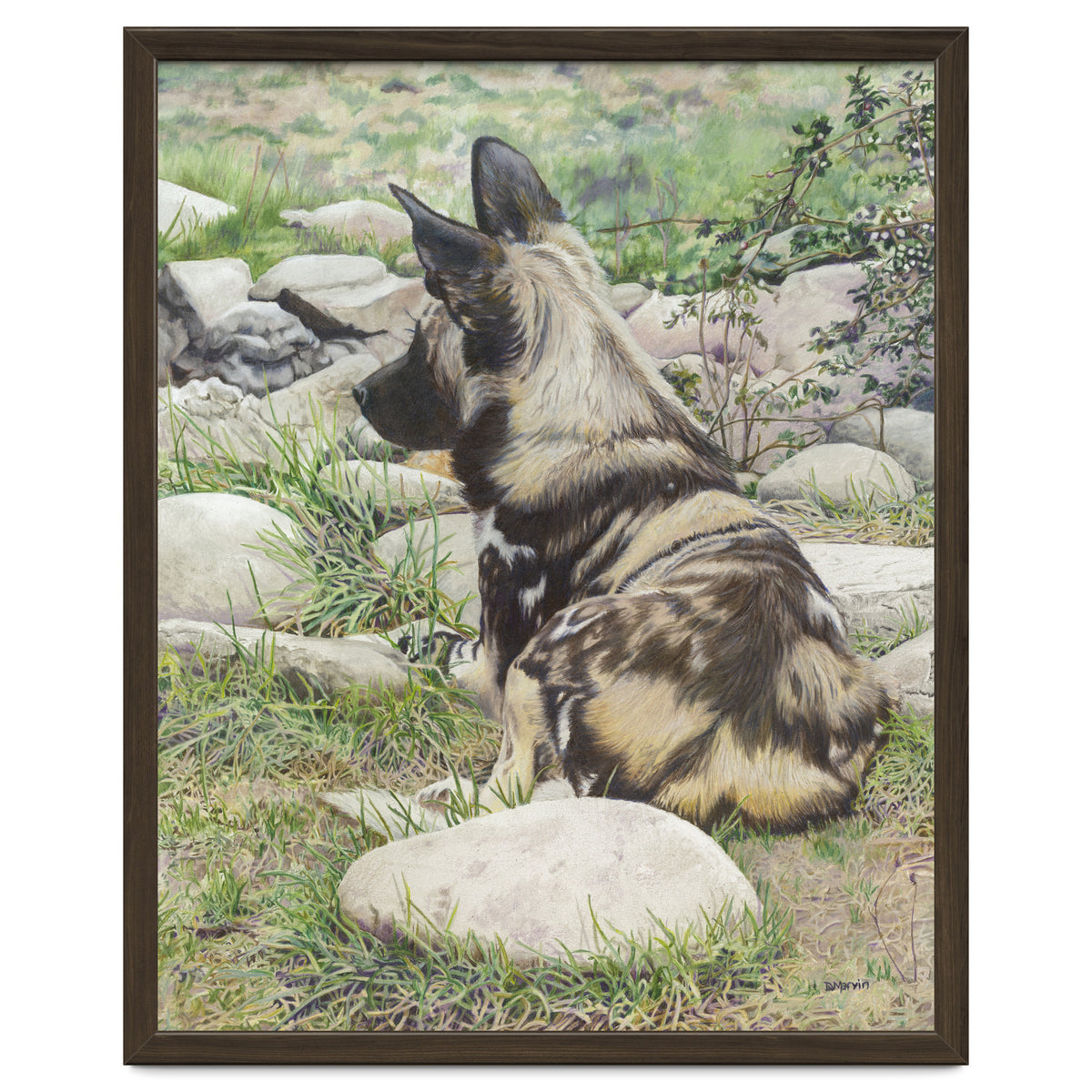 African Painted Dog I