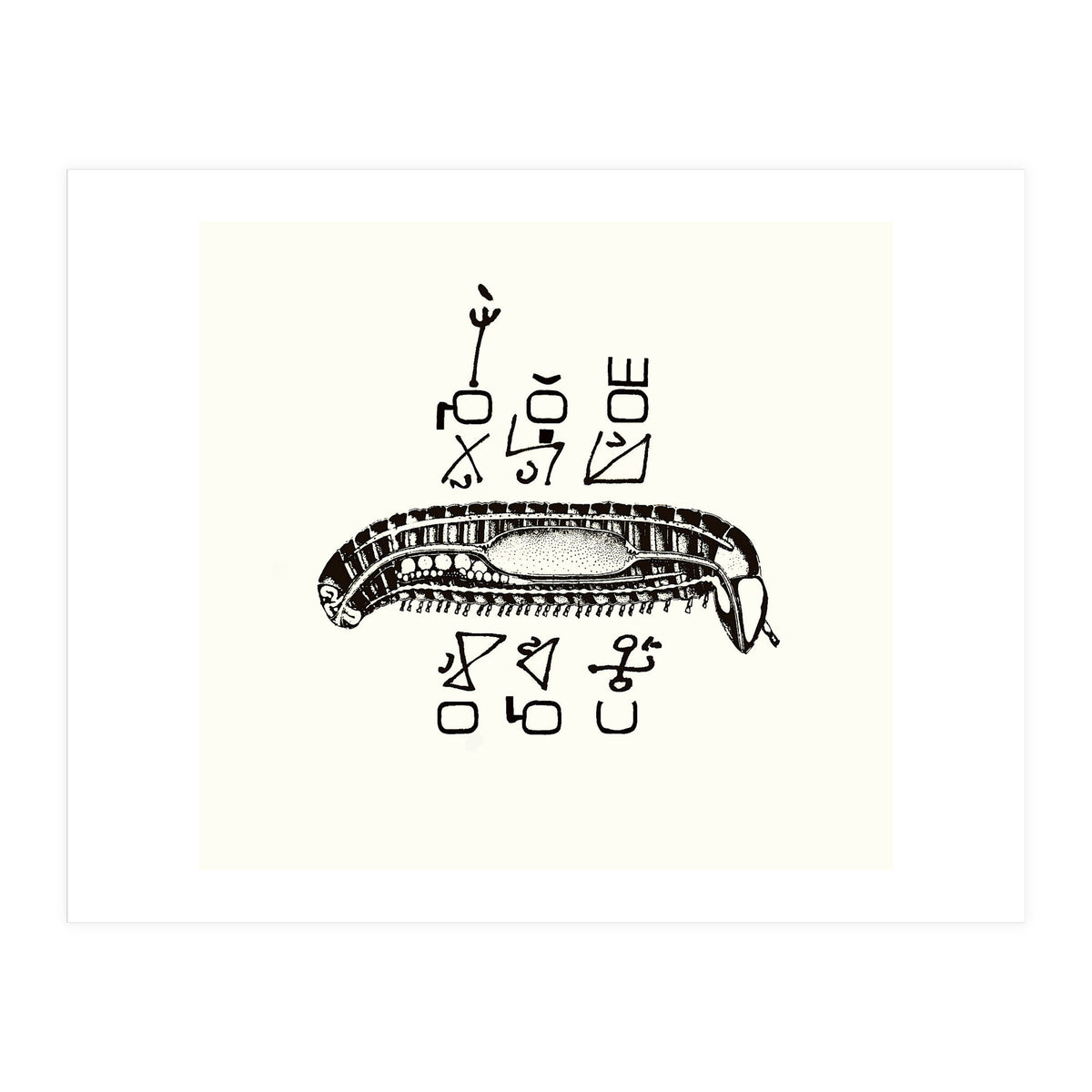 Diplopod David Felix (Print Only)