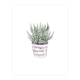 Potted Plant (Print Only) thumbnail