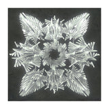 A Winged Debacle (Print Only) thumbnail