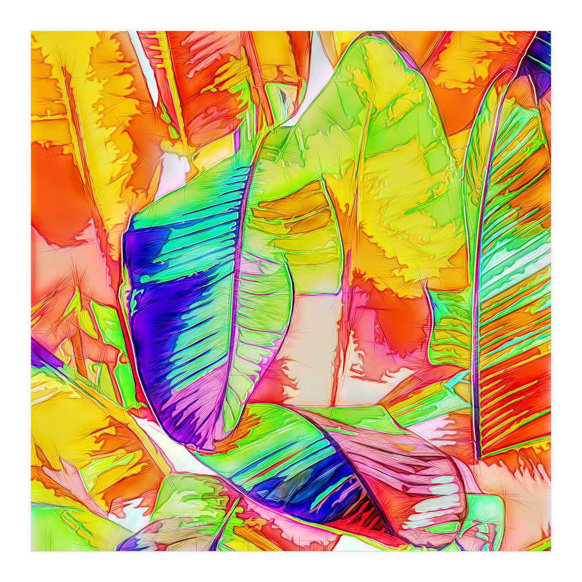 In All Things Of Nature, There's Something Of The Marvelous (Print Only)