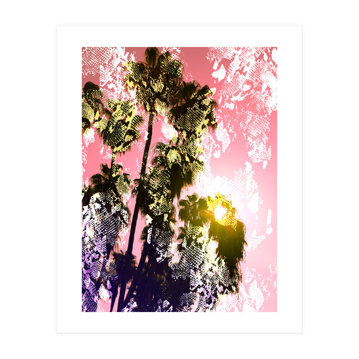 Snake sunset in paradise  (Print Only)