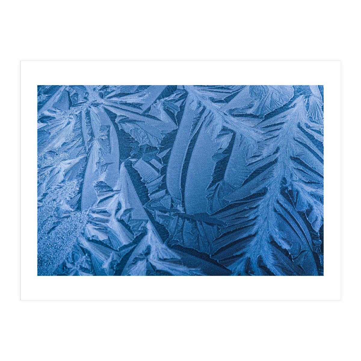 Ice Pattern Number 1 (Print Only)