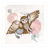 Attacking barn owl (Print Only) thumbnail